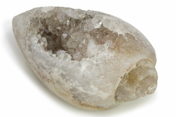 Chalcedony Replaced Gastropod With Sparkly Quartz - India #227390